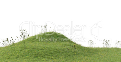 Grassy hill on a white background