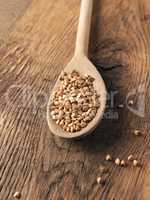 Organic buckwheat on a wooden spoon on a wooden kitchen table