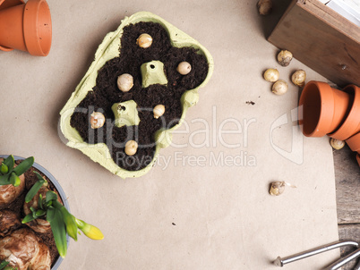 Gardening tools on a rustic wooden table