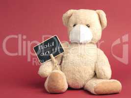 Hold on, Teddy bear with protective mask holds sign
