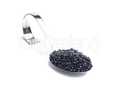 Organic beluga lentils on a curved stainless steel serving spoon
