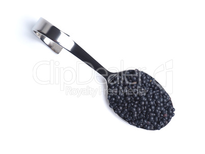 Organic beluga lentils on a curved stainless steel serving spoon