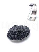 Organic beluga lentils on a curved stainless steel serving spoon