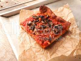 Vegetarian pizza with mushrooms, tomatoes and garlic without che