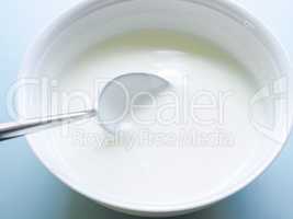 Low fat organic natural yogurt in a white bowl