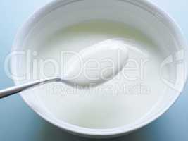 Low fat organic natural yogurt in a white bowl