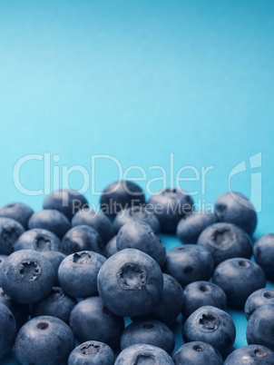 A bunch of blueberries on a blue background