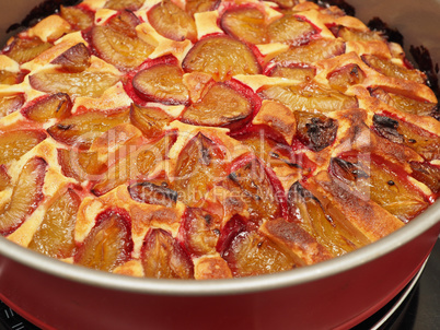 Plum cake in a baking dish