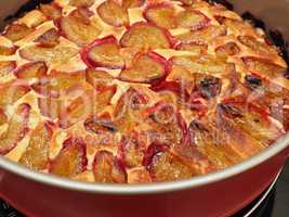 Plum cake in a baking dish