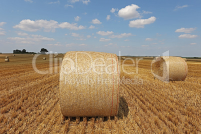 Harvested field with several rolled hay bales in Summer