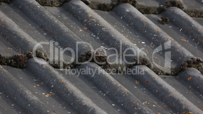 Old shingles on the roof of the house