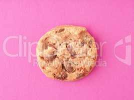 Sweet chocolate cookie on a pink background