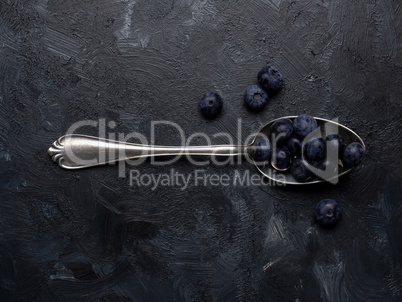 Fresh organic blueberries on a silver spoon on a dark background