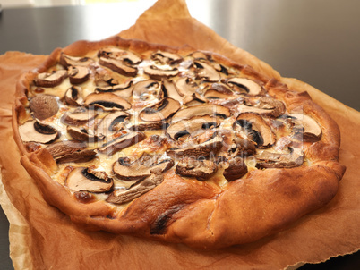 Tasty flan with mushrooms and garlic on a sheet of baking paper