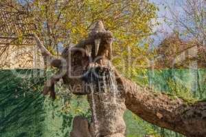 Dragons sculpture in Fantasy park of Uman, Ukraine