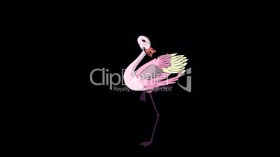 Pink flamingo dancing HD alpha matte