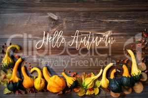 Colorful Pumpkins As Autumn Season Decoration, Text Hello Autumn