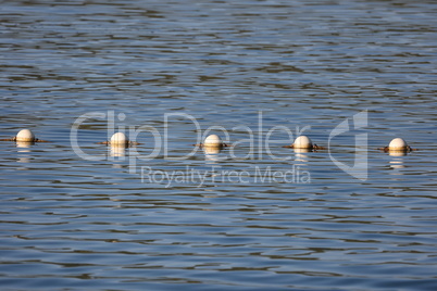 Buoys on the water in the sea