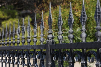 Metal fence. Metal curly fence in the park