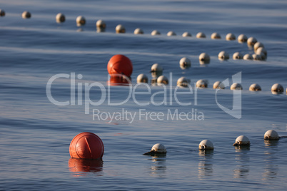 Buoys on the water in the sea
