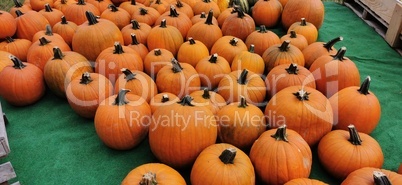 Many orange squash are waiting for sale in the vegetable market