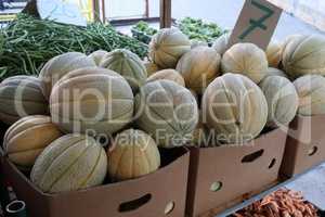 Various vegetables are sold at a bazaar in Croatia