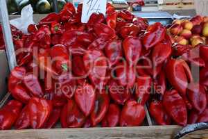 Various vegetables are sold at a bazaar in Croatia