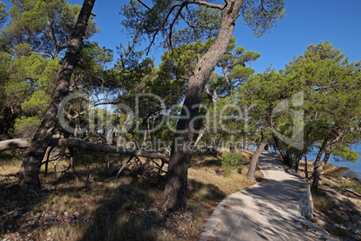 St. Anthony Canal, Sibenik, Croatia. The road along the coast of the canal