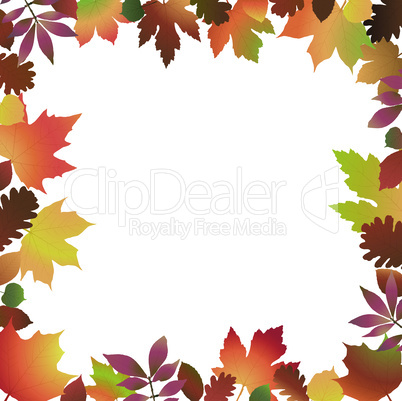 fall colored leaves frame background