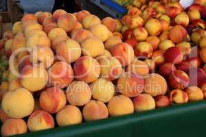 Fruits and vegetables at a bazaar in Croatia