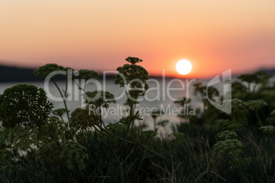 Beautiful summer sunset at sea in Croatia