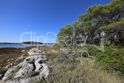 Rocky coast on the Adriatic Sea in Croatia