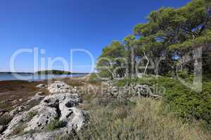 Rocky coast on the Adriatic Sea in Croatia