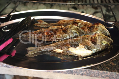 Grilled sea fish stands on the table