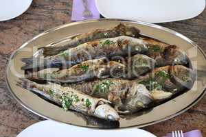 Grilled sea fish stands on the table