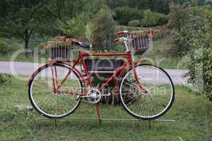 Old bike with flowers in garden design
