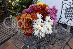 Beautiful multi-colored daisies stand on the table