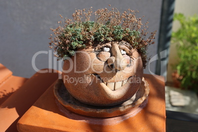 A flower pot in the form of a funny face