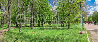 Kropyvnytskyi arboretum, Ukraine