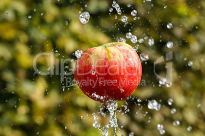 fresh water splash and red apple isolated on green