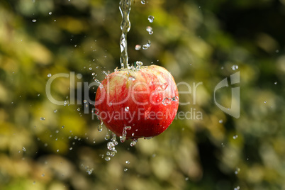 fresh water splash and red apple isolated on green