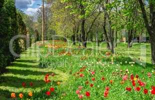 Kropyvnytskyi arboretum, Ukraine