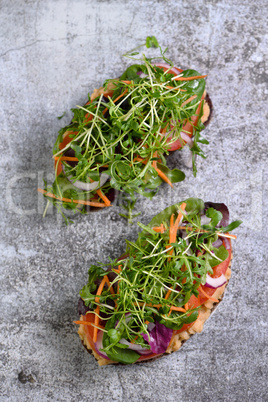 Vegetarian toast with microgreen