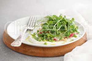 vegan healthy salad made of microgreen sprouts peas