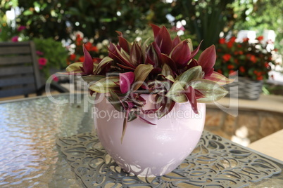 Decorative flower in a ceramic pot stands on the table
