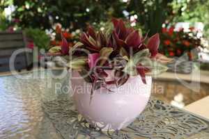 Decorative flower in a ceramic pot stands on the table