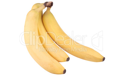 three yellow banana isolated