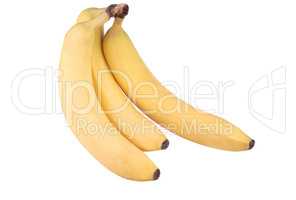 three yellow banana isolated