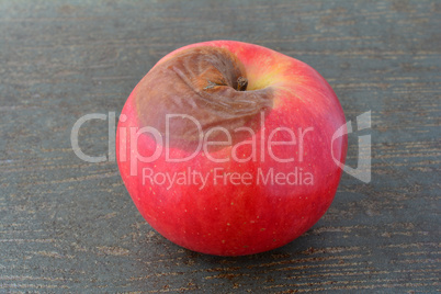 Red rotten apple close up