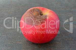 Red rotten apple close up